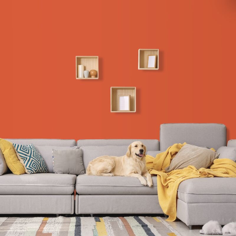 Wandfarbe Koralle Rot Orange Palermo 1E Wallcover Colors S 2060-Y70R