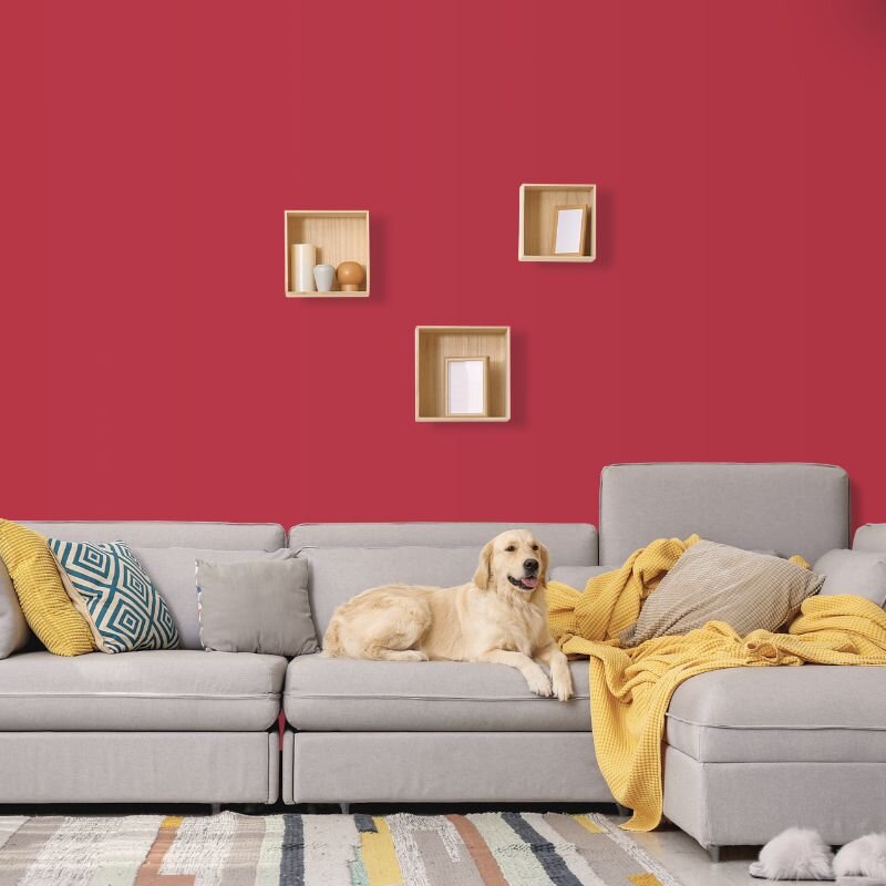 Wandfarbe Rot Napoli 3E Wallcover Colors S 2070-Y90R