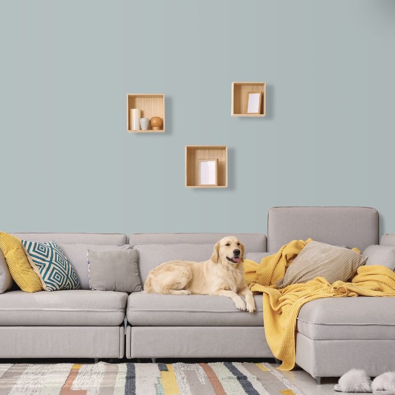 Wandfarbe Hellgrau Graublau Shadow 3B Wallcover Colors S 2502-B