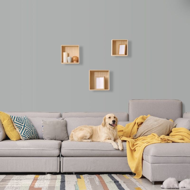 Wandfarbe Hellgrau Moon 1E Wallcover Colors S 3005-B80G