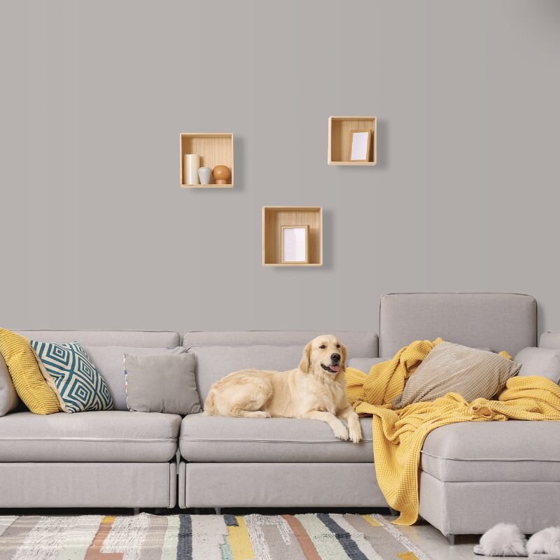 Wandfarbe Hellgrau Moon 2C Wallcover Colors S 3005-R20B