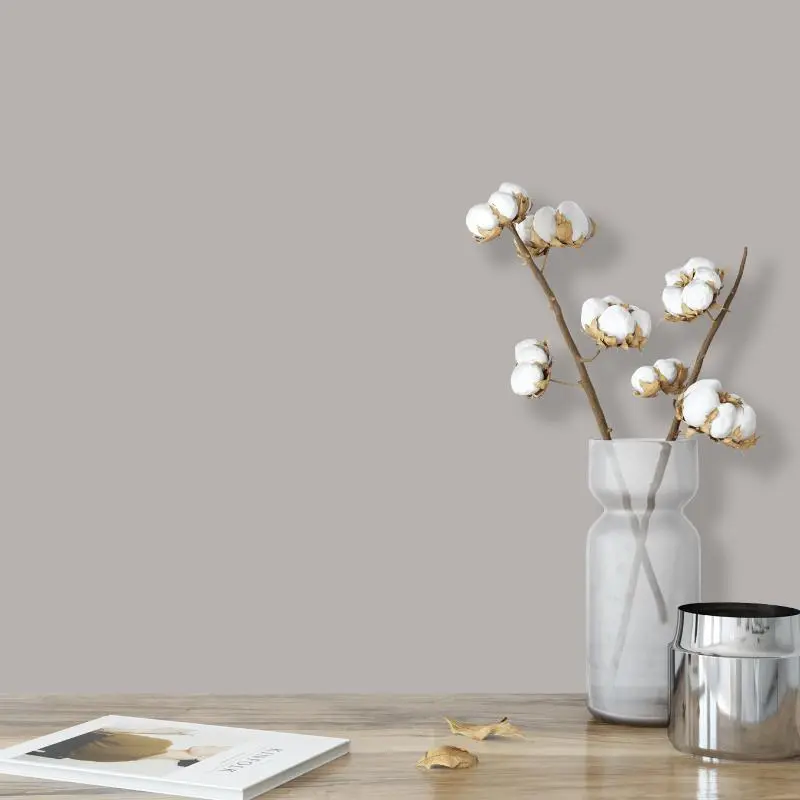 Wandfarbe Hellgrau Moon 2C Wallcover Colors S 3005-R20B