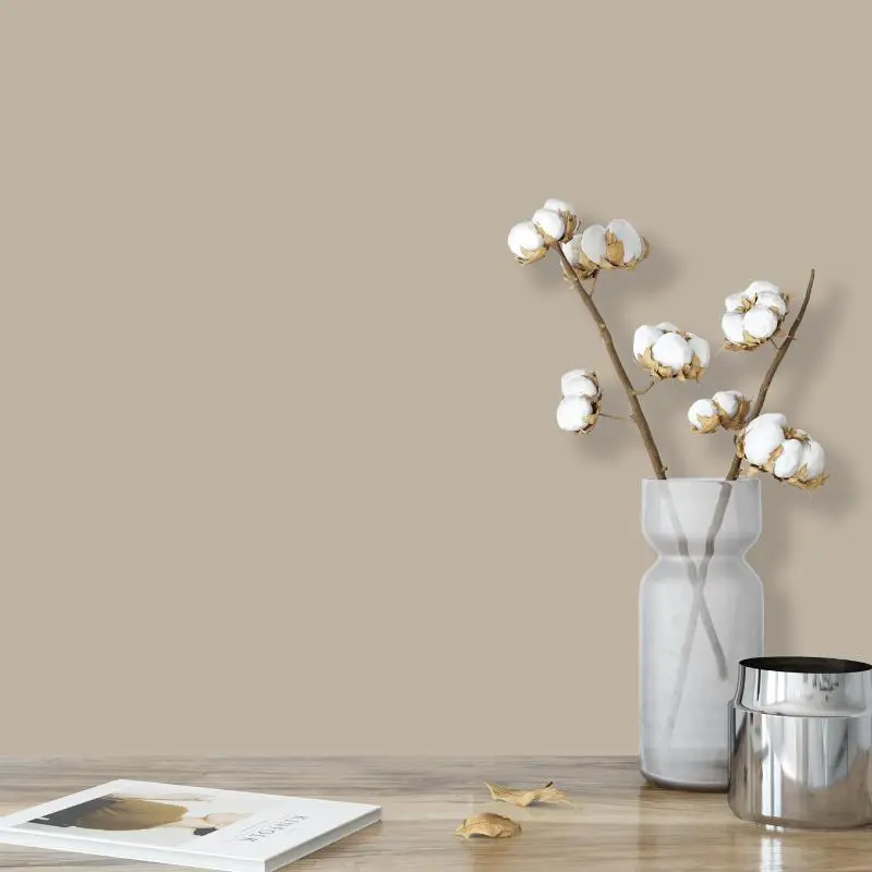 Wandfarbe Greige Sand-Grau Shadow 6B Wallcover Colors S 3005-Y20R