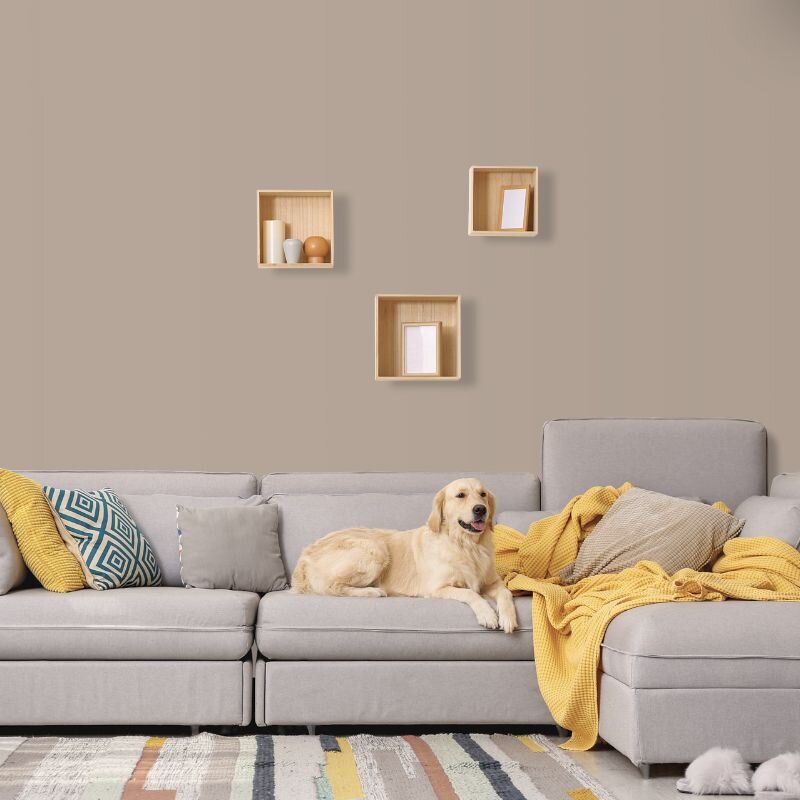 Wandfarbe Greige Taupe Shadow 6C Wallcover Colors S 3010-Y70R