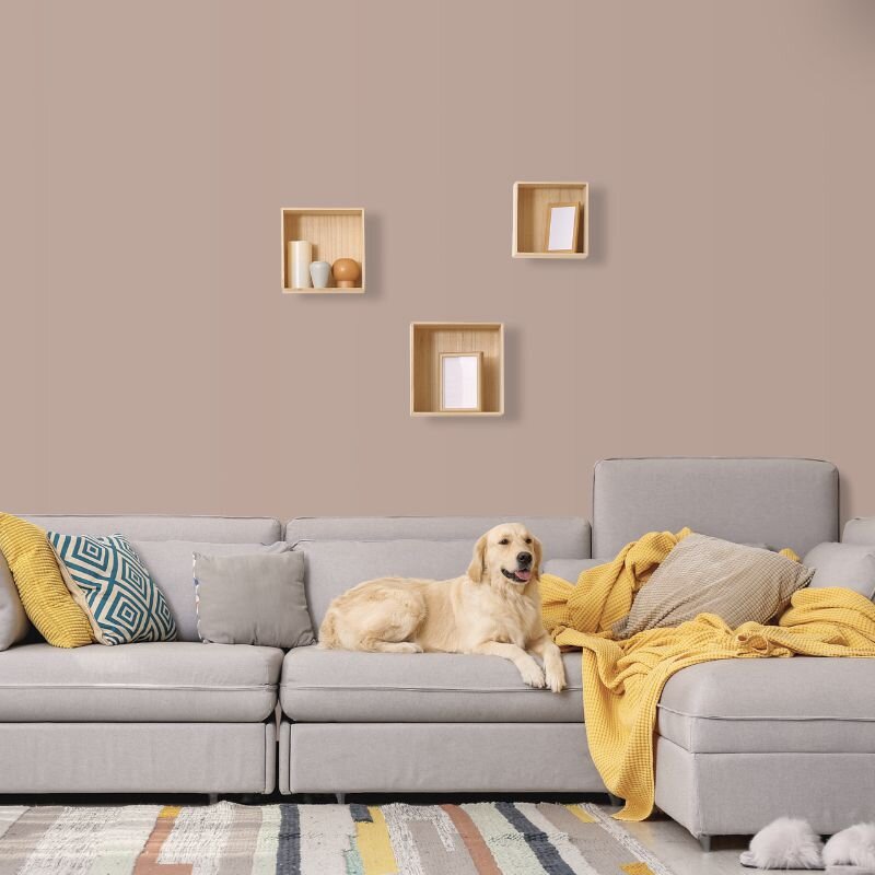 Wandfarbe Braun-Grau Bologna 5C Wallcover Colors S 3010-Y80R