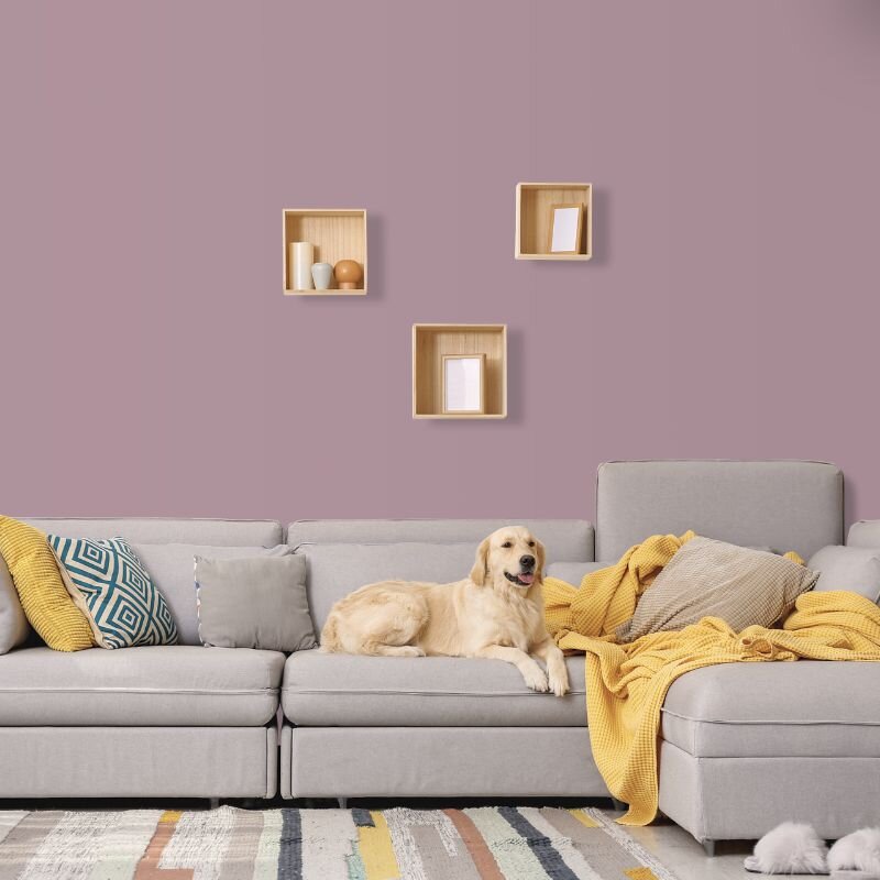 Wandfarbe Mauve Flieder English Rose 5D Wallcover Colors S 3020-R20B