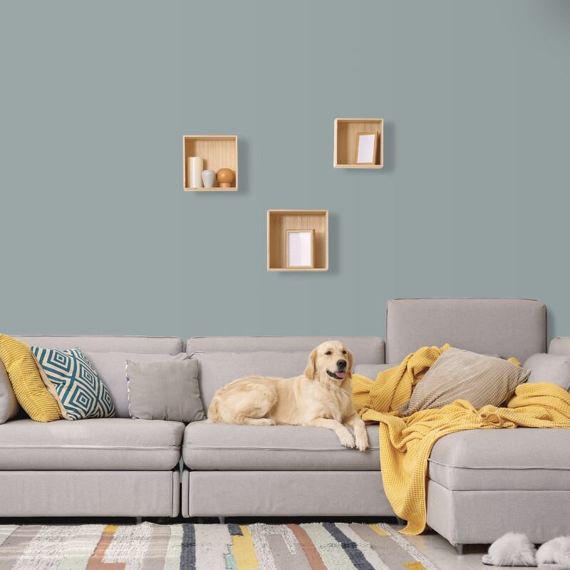 Wandfarbe Hellgrau Graublau Shadow 3C Wallcover Colors S 3502-G