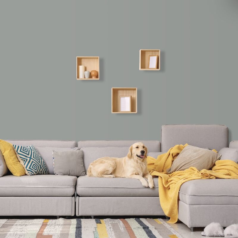 Wandfarbe Dunkelgrau Moon 4D Wallcover Colors S 4005-B80G