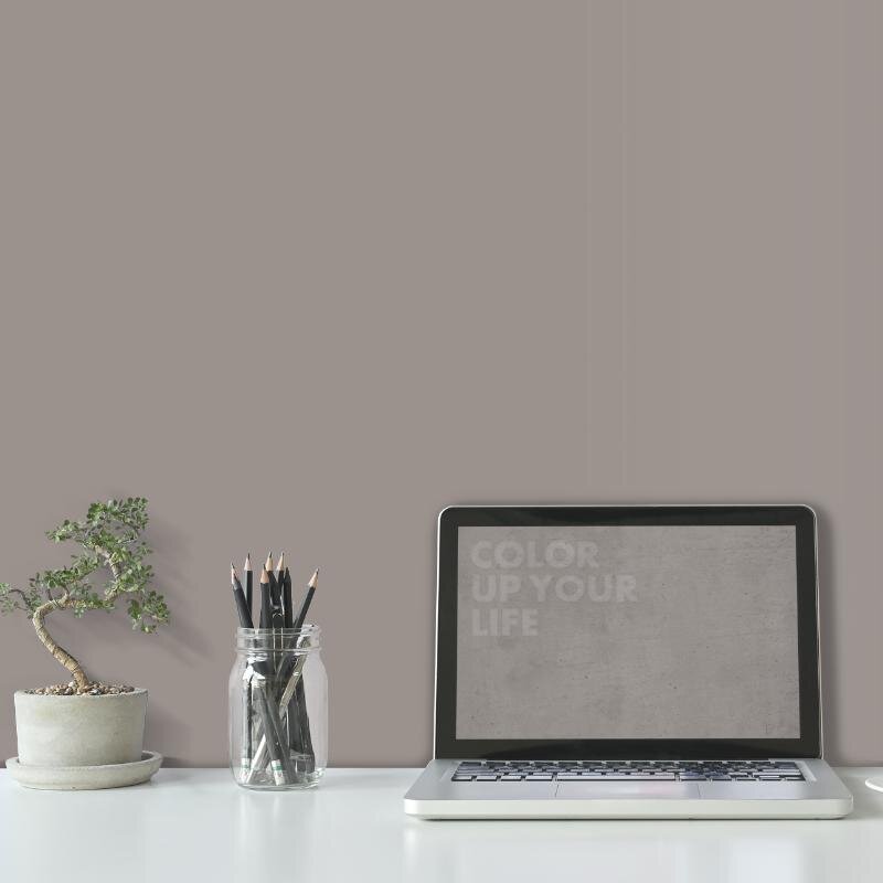 Wandfarbe Grau-Braun Shadow 5D Wallcover Colors S 4502-Y50R