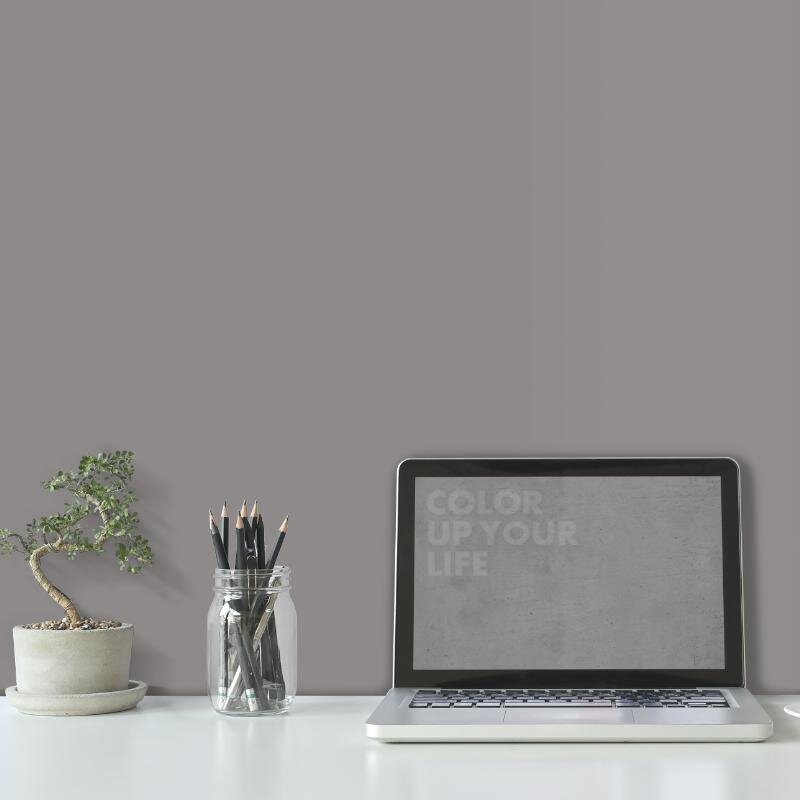 Wandfarbe Grau Moon 2E Wallcover Colors S 5000-N