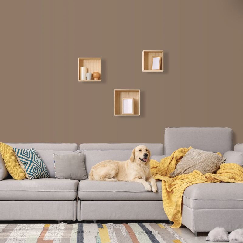 Wandfarbe Mittelbraun Braun Gobi 5F Wallcover Colors S 5010-Y50R