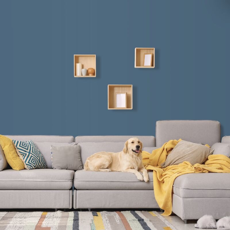 Wandfarbe Dunkelblau Blau-Grau Marine 4F Wallcover Colors S 5020-B