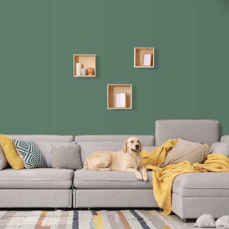 Wandfarbe Grau-Grün Flaschengrün Connemara 5E Wallcover Colors S 5020-G10Y