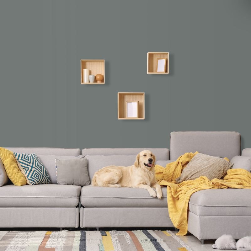 Wandfarbe Dunkelgrau Moon 4E Wallcover Colors S 6000-N