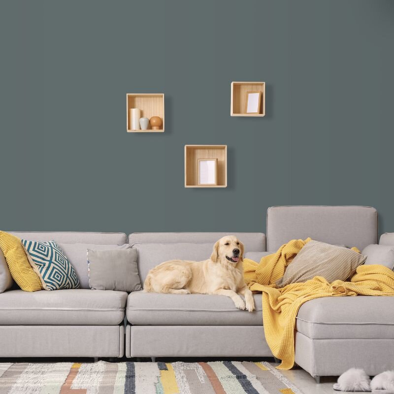 Wandfarbe Dunkelgrau Shadow 3E Wallcover Colors S 6005-B50G