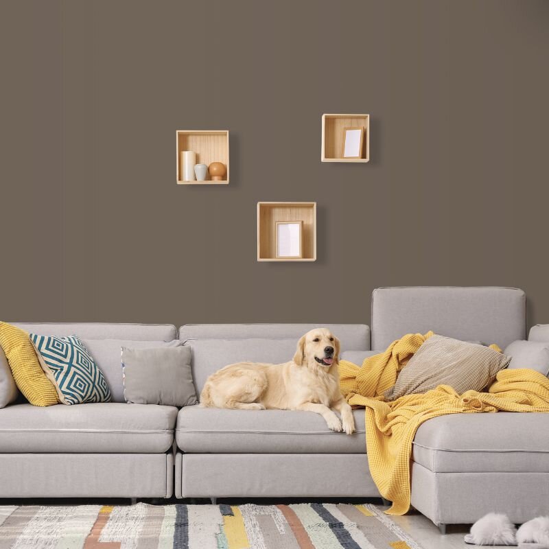 Wandfarbe Braungrau Graubraun Shadow 6E Wallcover Colors S 6010-G70Y