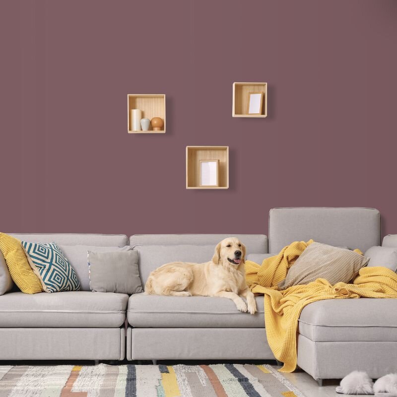 Wandfarbe Mauve Malve Violett Piccadilly 5D Wallcover Colors S 6010-R30B