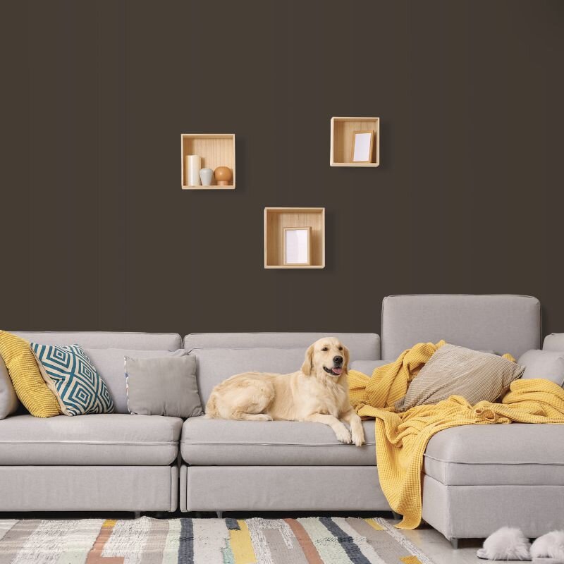 Wandfarbe Dunkelbraun Shadow 6F Wallcover Colors S 8005-Y20R