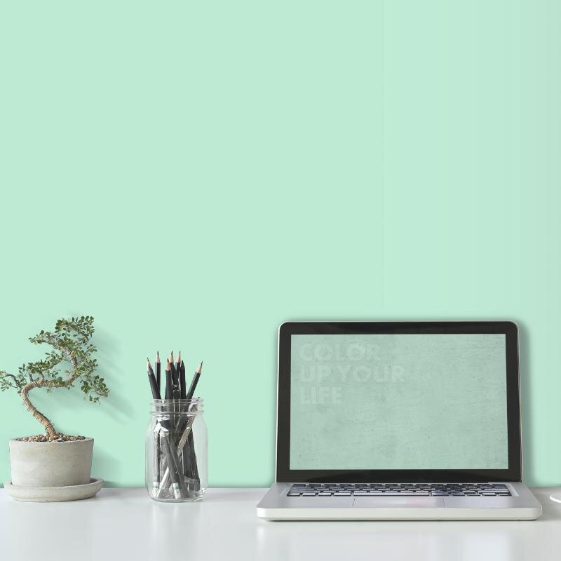 Wandfarbe Mint Türkis-Grün Bahamas 1B Wallcover Colors S 0520-B90G 1 Liter