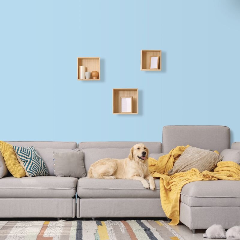 Wandfarbe Hellblau Pastellblau Karibik 2B Wallcover Colors S 0520-R90B 1 Liter