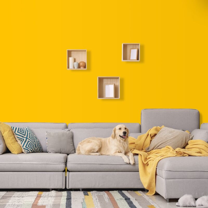 Wandfarbe Gelb-Orange Mojave 2F Wallcover Colors S 0580-Y10R 1 Liter