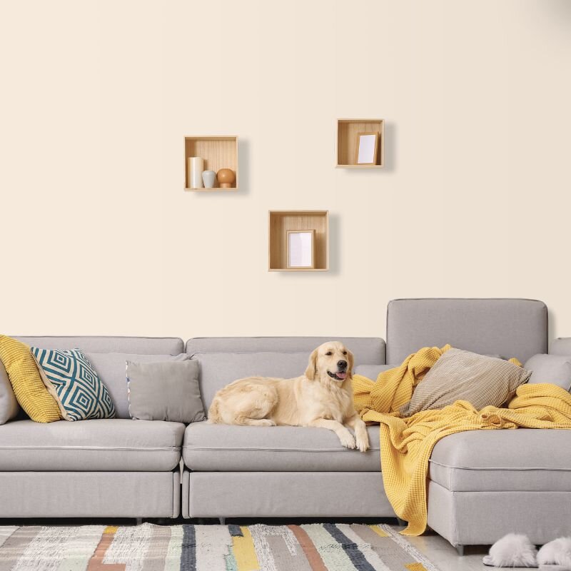 Wandfarbe Vanille Creme Bergamo 1A Wallcover Colors S 0804-Y50R 1 Liter