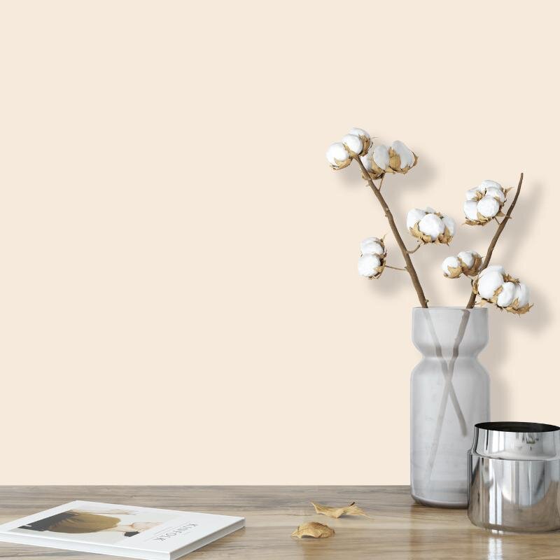 Wandfarbe Vanille Creme Bergamo 1A Wallcover Colors S 0804-Y50R 1 Liter