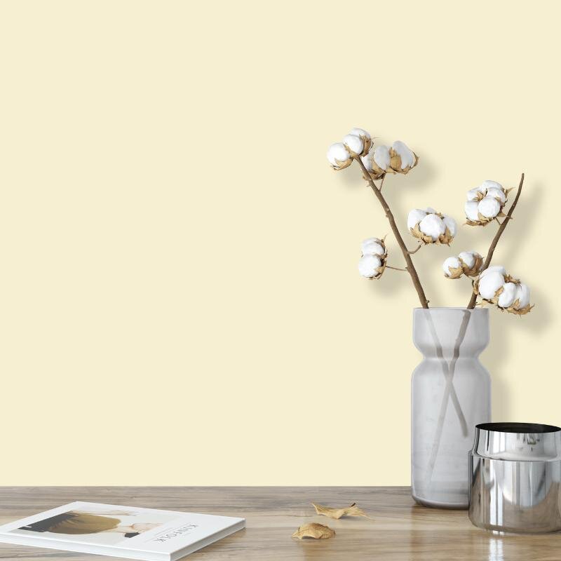 Wandfarbe Champagner Blassgelb Kalahari 1A Wallcover Colors S 0907-Y10R 1 Liter