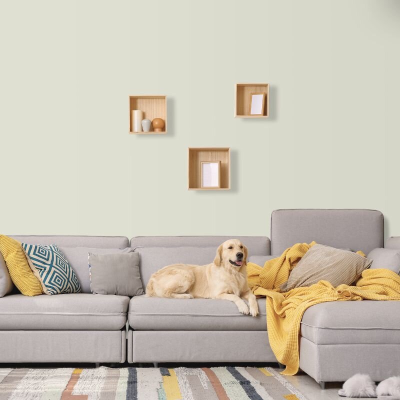 Wandfarbe Graugrün Grau hell Shadow 2A Wallcover Colors S 1005-G60Y 1 Liter