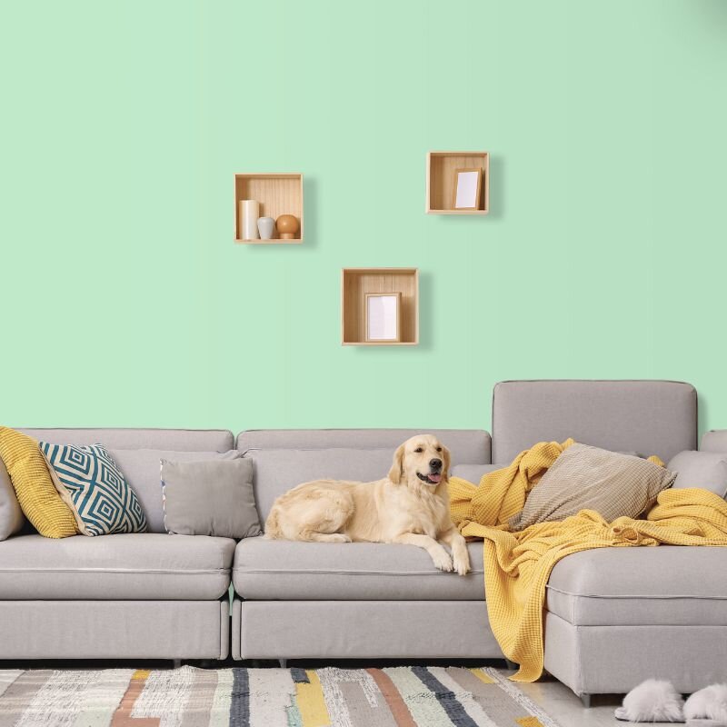 Wandfarbe Aquamarin-Grün Pastell Connemara 2B Wallcover Colors S 1020-G10Y 1 Liter