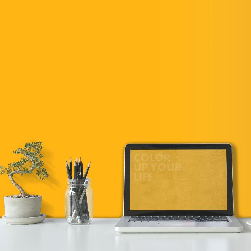 Wandfarbe Orange Kalahari 1F Wallcover Colors S 1070-Y20R 1 Liter