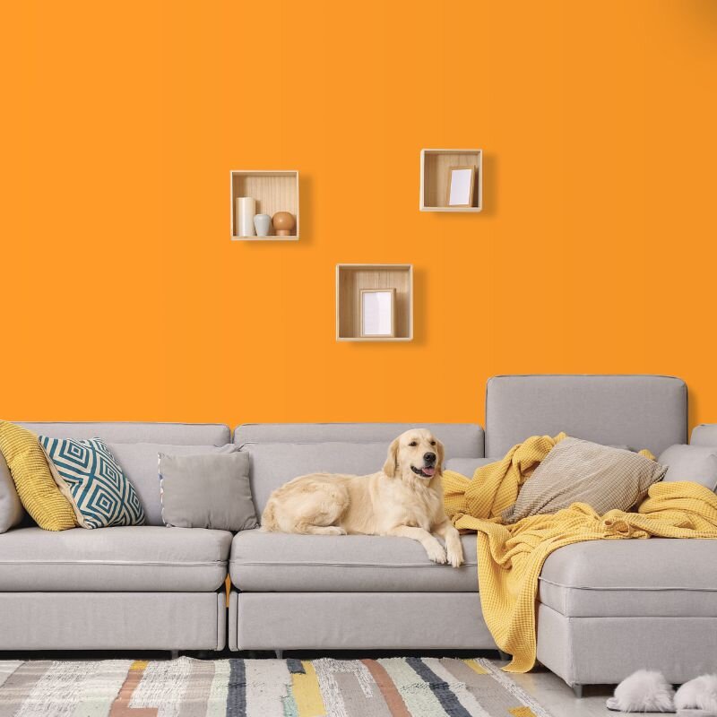 Wandfarbe Orange Gobi 1F Wallcover Colors S 1070-Y30R 1 Liter