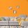 Wandfarbe Orange Gobi 1F Wallcover Colors S 1070-Y30R 1 Liter