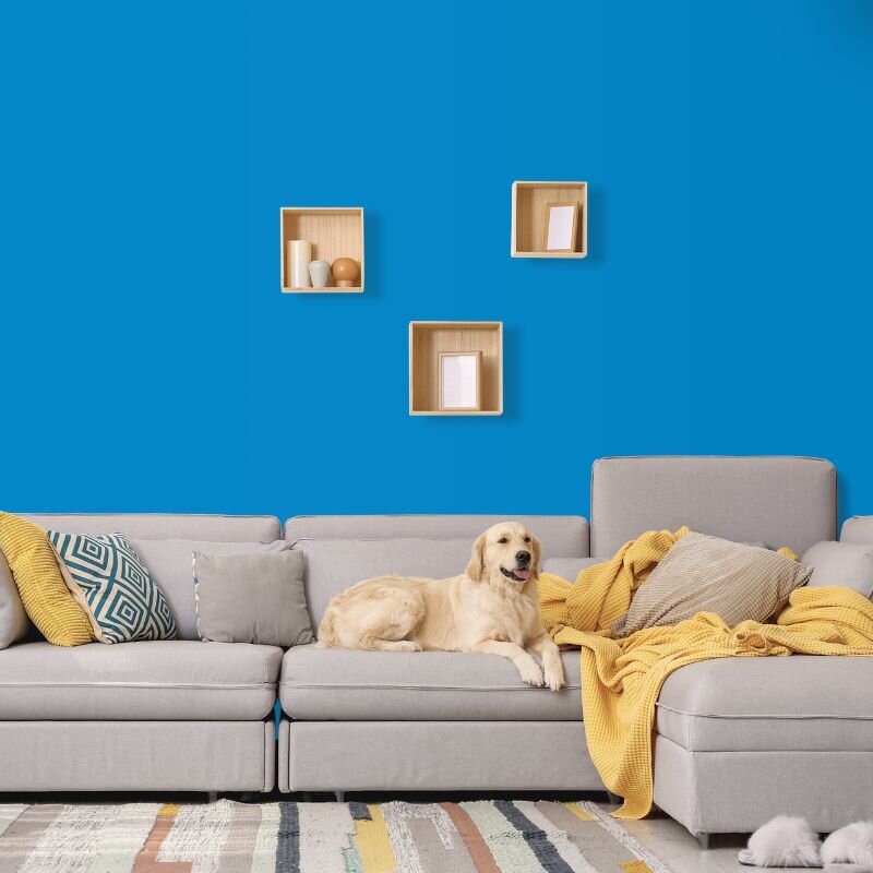 Wandfarbe Blau Meeresblau Karibik 2E Wallcover Colors S 1560-R90B 1 Liter