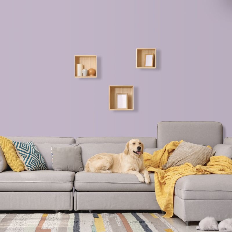 Wandfarbe Pastell Lavendel Flieder Benguela 5B Wallcover Colors S 2020-R50B 1 Liter