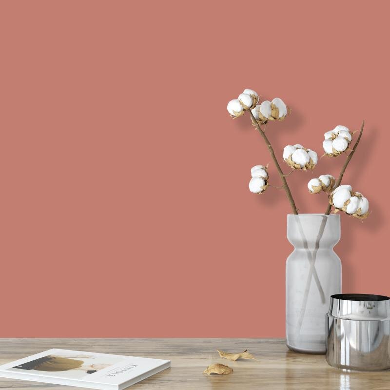 Wandfarbe Pfirsich Rosa Palermo 3D Wallcover Colors S 2040-Y80R 1 Liter