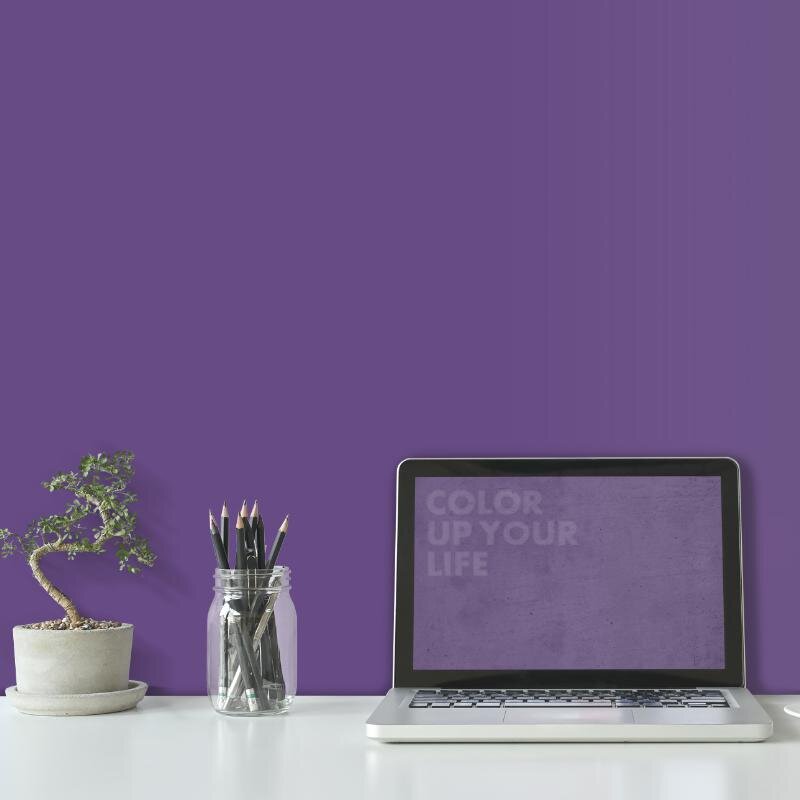 Wandfarbe Lila Violett Benguela 2F Wallcover Colors S 4040-R60B 1 Liter