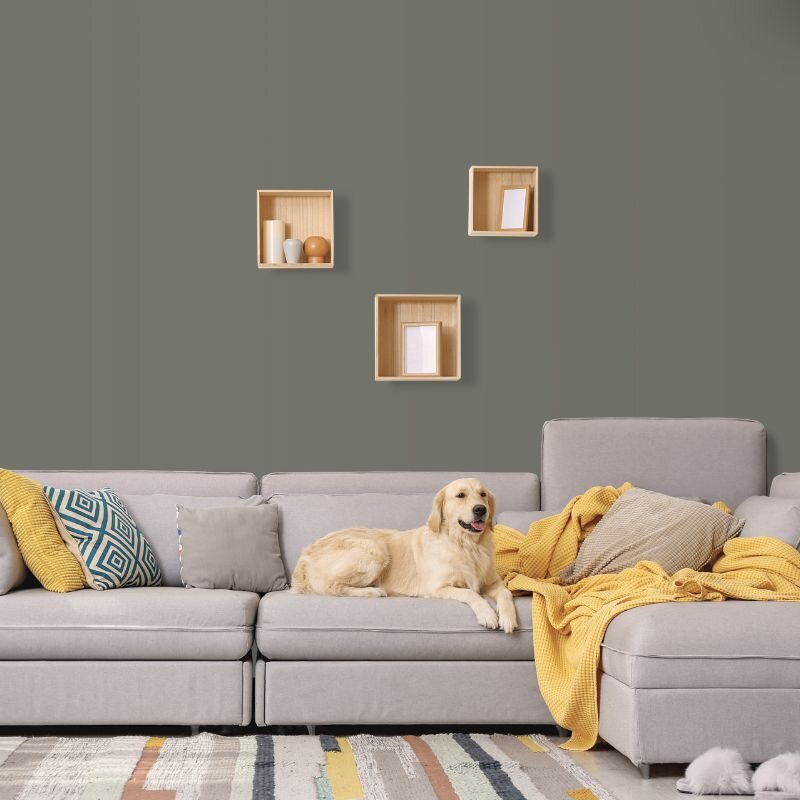 Wandfarbe Graugrün Dunkelgrau Shadow 2E Wallcover Colors S 6005-G50Y 1 Liter