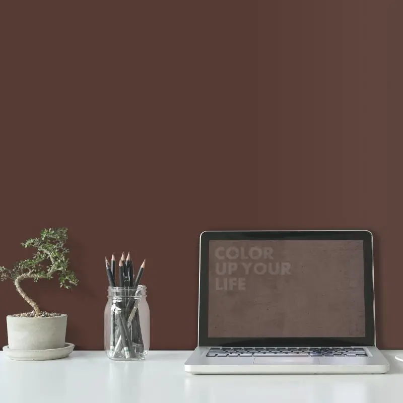 Wandfarbe Dunkelbraun Erde Earth 2F Wallcover Colors S 7010-Y70R 1 Liter