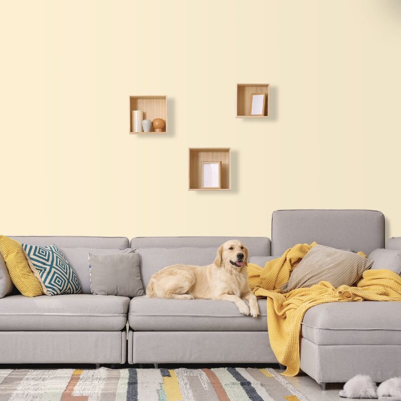 Wandfarbe Weiß-Gelb Blassgelb Mojave 2A Wallcover Colors S 0510-Y 2,5 Liter