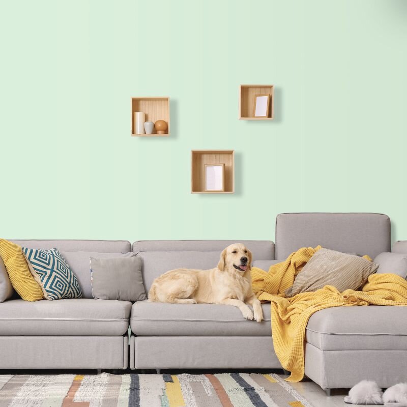 Wandfarbe Aquamarin-Grün Pastell Connemara 1B Wallcover Colors S 0515-G20Y 2,5 Liter