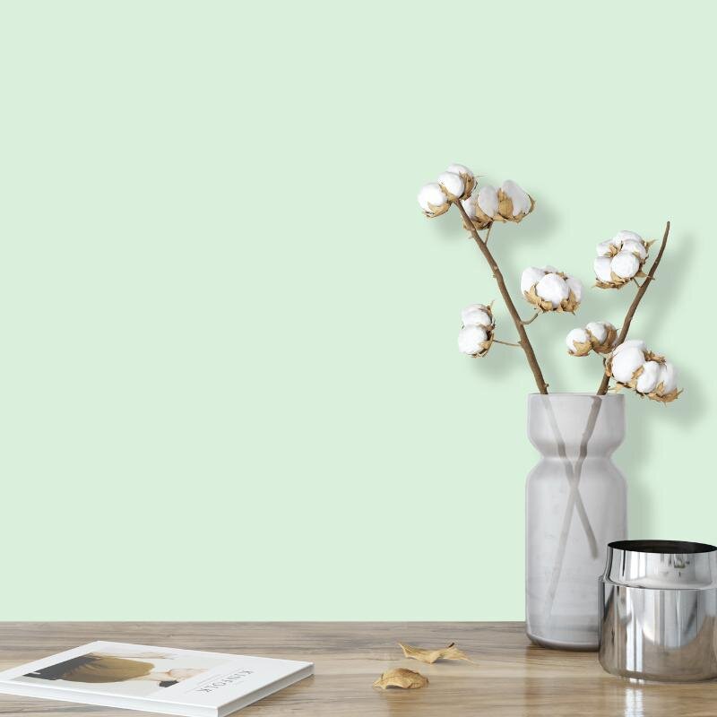 Wandfarbe Aquamarin-Grün Pastell Connemara 1B Wallcover Colors S 0515-G20Y 2,5 Liter