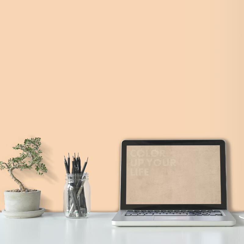 Wandfarbe Apricot Pfirsich Ravenna 1B Wallcover Colors S 0515-Y40R 2,5 Liter