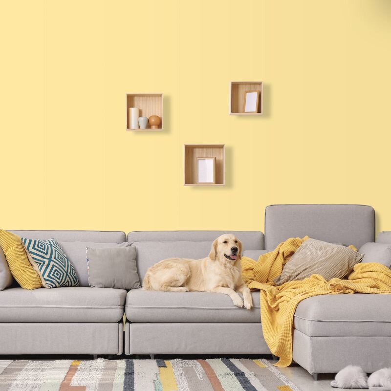 Wandfarbe Blassgelb Vanille Mojave 2B Wallcover Colors S 0530-Y 2,5 Liter