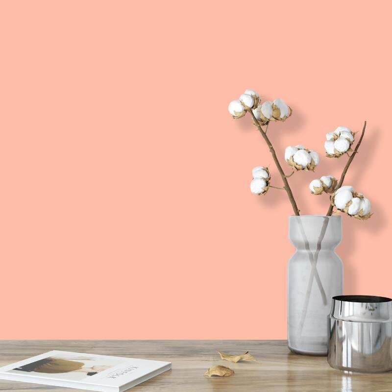 Wandfarbe Apricot Pfirsich Firenze 1B Wallcover Colors S 0530-Y80R 2,5 Liter