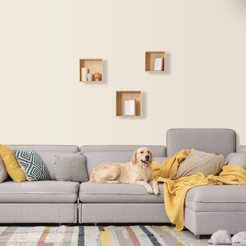 Wandfarbe Creme Beige Sand Light 6A Wallcover Colors S 0907-Y30R 2,5 Liter