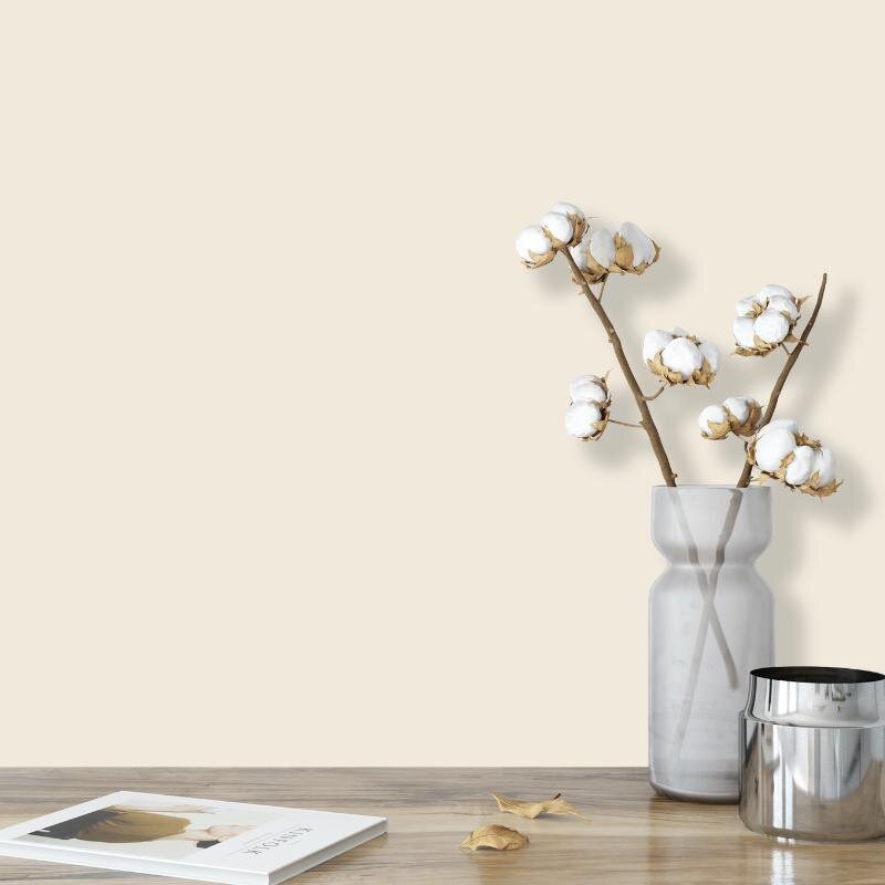 Wandfarbe Creme Beige Sand Light 6A Wallcover Colors S 0907-Y30R 2,5 Liter