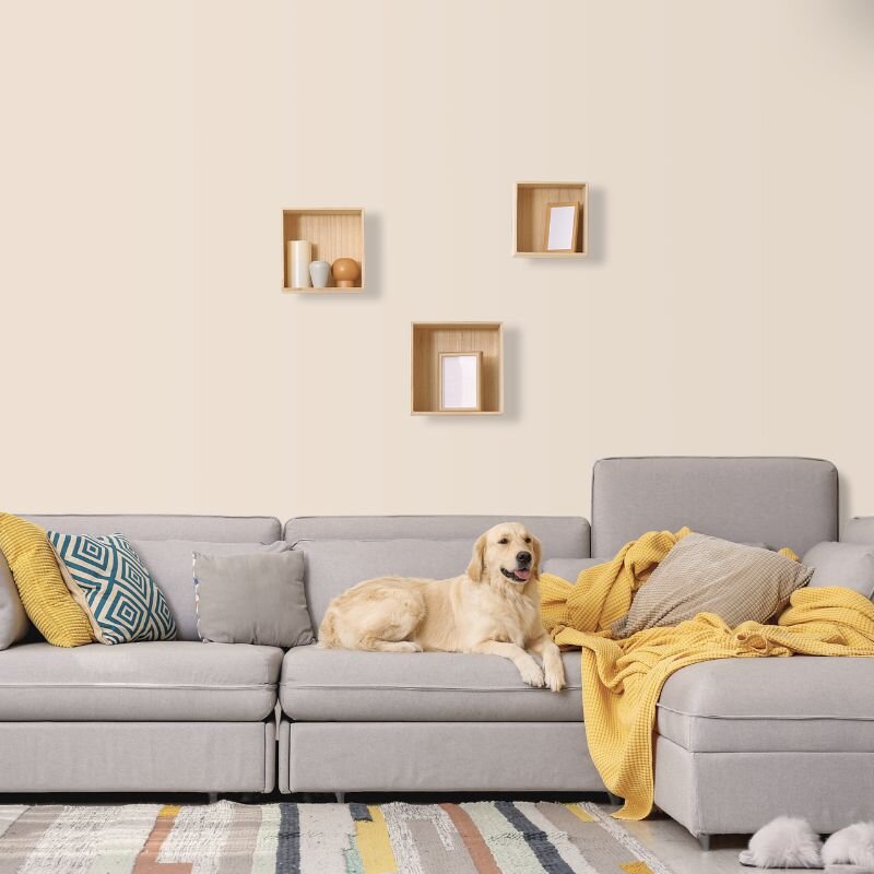 Wandfarbe Sand Creme Beige Kalahari 5A Wallcover Colors S 1005-Y40R 2,5 Liter