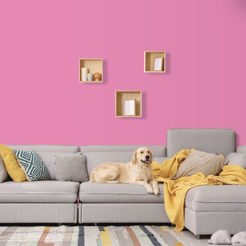 Wandfarbe Pink Pretty Pink 2D Wallcover Colors S 1050-R30B 2,5 Liter