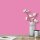 Wandfarbe Pink Pretty Pink 2D Wallcover Colors S 1050-R30B 2,5 Liter